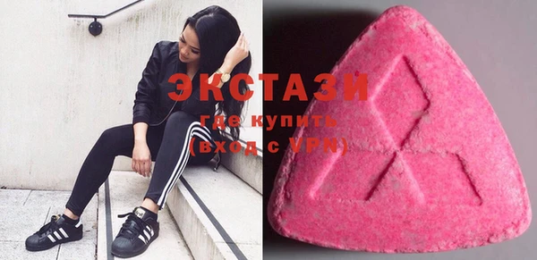 шишки Новодвинск