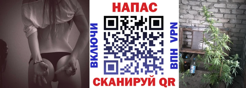 Купить  Усть-Кут  Шишки марихуана MAZAR